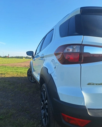 Ford EcoSport cena 72500 przebieg: 53150, rok produkcji 2020 z Września małe 631